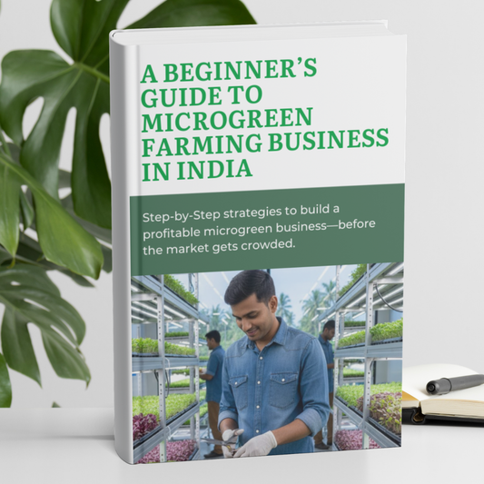 A Beginner’s Guide to Microgreen Farming Business in India